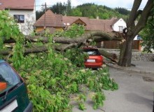 Kwikfynd Tree Cutting Services
sinclair